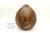Bedfordshire Burr Elm with Bronze Epoxy