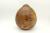 Bedfordshire Burr Elm with Bronze Epoxy