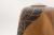 Figured English Walnut with Pyro Engraved Decoration