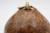 Bark Edged Bedfordshire Burr Elm with Aluminium Kintsugi