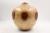 Spalted Chilean Pine Companion Urn