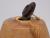 Olive Ash Companion Urn