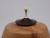 Olive Ash Companion Urn